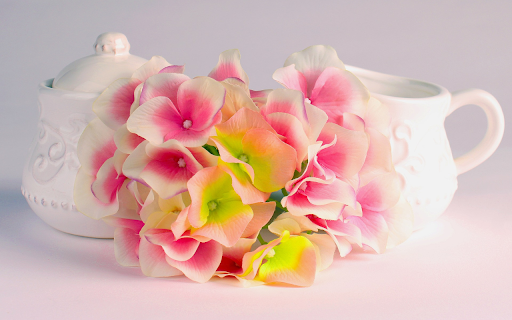 Two cups and flowers from Chrome web store to be run with OffiDocs Chromium online Two cups and flowers from Chrome web store to be run with OffiDocs Chromium online