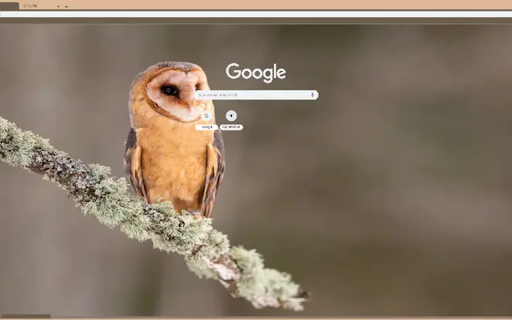 Tyto alba from Chrome web store to be run with OffiDocs Chromium online Tyto alba from Chrome web store to be run with OffiDocs Chromium online
