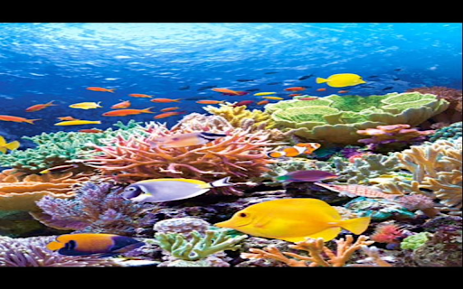 Undersea coral wallpaper from Chrome web store to be run with OffiDocs Chromium online Undersea coral wallpaper from Chrome web store to be run with OffiDocs Chromium online