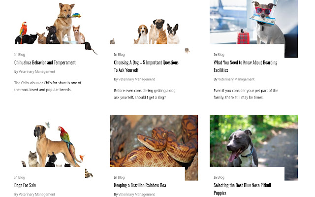 Veterinary Management from Chrome web store to be run with OffiDocs Chromium online Veterinary Management from Chrome web store to be run with OffiDocs Chromium online