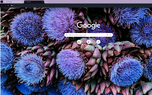vibrant artichoke flower in full bloom from Chrome web store to be run with OffiDocs Chromium online vibrant artichoke flower in full bloom from Chrome web store to be run with OffiDocs Chromium online