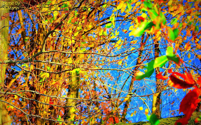Vibrant Fall Forrest from Chrome web store to be run with OffiDocs Chromium online Vibrant Fall Forrest from Chrome web store to be run with OffiDocs Chromium online