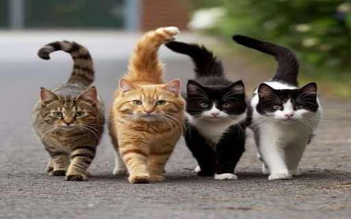 Walking cats Wallpaper from Chrome web store to be run with OffiDocs Chromium online Walking cats Wallpaper from Chrome web store to be run with OffiDocs Chromium online
