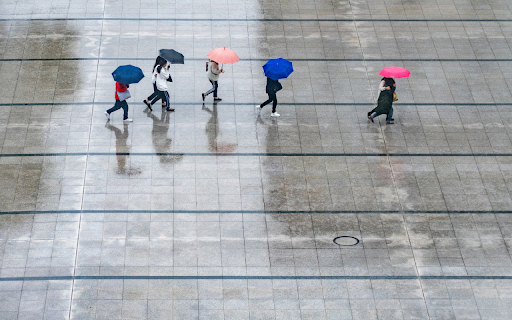 Walk in the rain from Chrome web store to be run with OffiDocs Chromium online Walk in the rain from Chrome web store to be run with OffiDocs Chromium online
