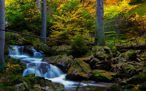 Waterfall Scene from Chrome web store to be run with OffiDocs Chromium online Waterfall Scene from Chrome web store to be run with OffiDocs Chromium online