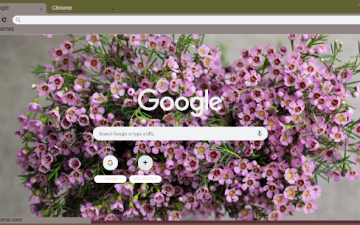 Waxflower from Chrome web store to be run with OffiDocs Chromium online Waxflower from Chrome web store to be run with OffiDocs Chromium online