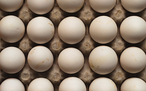 White chicken egg tray from Chrome web store to be run with OffiDocs Chromium online White chicken egg tray from Chrome web store to be run with OffiDocs Chromium online