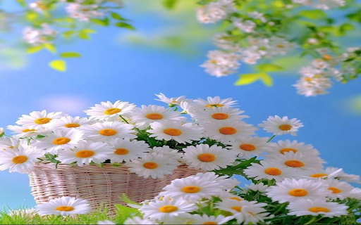 White chrysanthemum basket wallpaper from Chrome web store to be run with OffiDocs Chromium online White chrysanthemum basket wallpaper from Chrome web store to be run with OffiDocs Chromium online