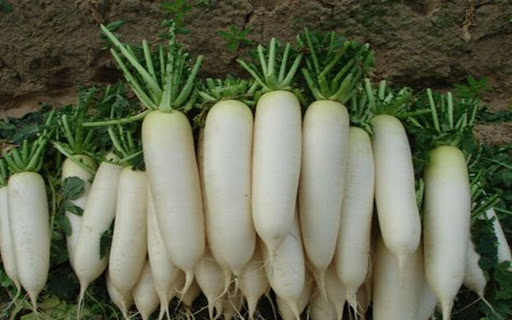 white radish wallpaper from Chrome web store to be run with OffiDocs Chromium online white radish wallpaper from Chrome web store to be run with OffiDocs Chromium online