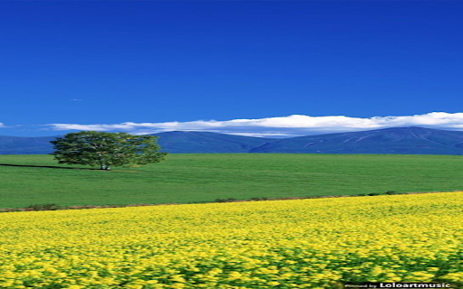 yellow flower field wallpaper from Chrome web store to be run with OffiDocs Chromium online yellow flower field wallpaper from Chrome web store to be run with OffiDocs Chromium online