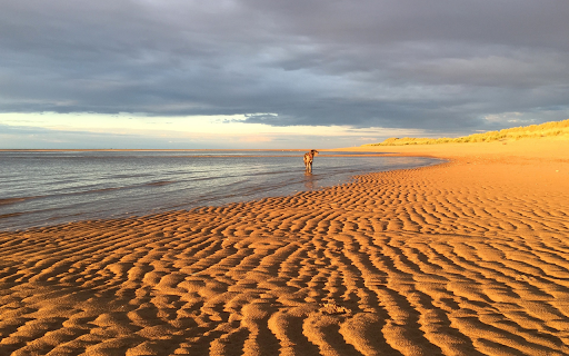 Yellow sand, blue sea from Chrome web store to be run with OffiDocs Chromium online Yellow sand, blue sea from Chrome web store to be run with OffiDocs Chromium online