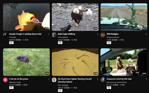 YoutubeChannelBloker from Chrome web store to be run with OffiDocs Chromium online YoutubeChannelBloker from Chrome web store to be run with OffiDocs Chromium online