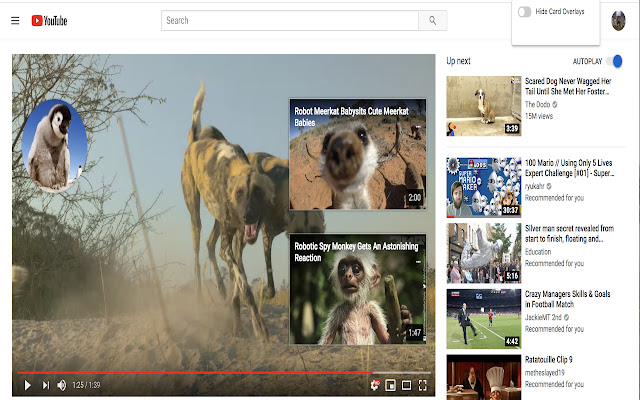 Youtube ES (Enhancement Suite) from Chrome web store to be run with OffiDocs Chromium online Youtube ES (Enhancement Suite) from Chrome web store to be run with OffiDocs Chromium online
