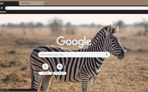 Zebra from Chrome web store to be run with OffiDocs Chromium online Zebra from Chrome web store to be run with OffiDocs Chromium online