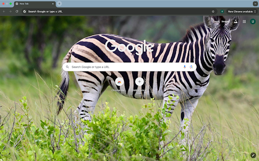 zebra and grassland from Chrome web store to be run with OffiDocs Chromium online zebra and grassland from Chrome web store to be run with OffiDocs Chromium online