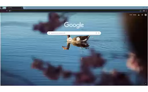 A duck swimming in a pond with pink flowers from Chrome web store to be run with OffiDocs Chromium online A duck swimming in a pond with pink flowers from Chrome web store to be run with OffiDocs Chromium online
