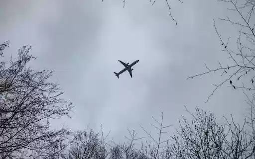 An airplane flying through the trees in a cloudy sky from Chrome web store to be run with OffiDocs Chromium online An airplane flying through the trees in a cloudy sky from Chrome web store to be run with OffiDocs Chromium online