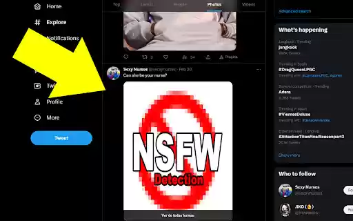 Apolo Protector from Chrome web store to be run with OffiDocs Chromium online Apolo Protector from Chrome web store to be run with OffiDocs Chromium online