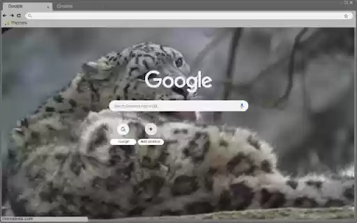 Bao tuyet from Chrome web store to be run with OffiDocs Chromium online Bao tuyet from Chrome web store to be run with OffiDocs Chromium online
