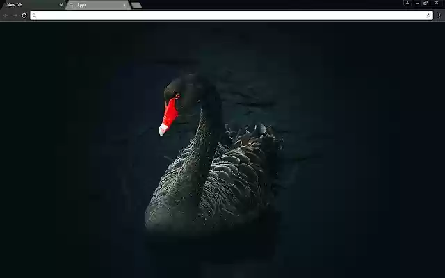 black Swan from Chrome web store to be run with OffiDocs Chromium online black Swan from Chrome web store to be run with OffiDocs Chromium online