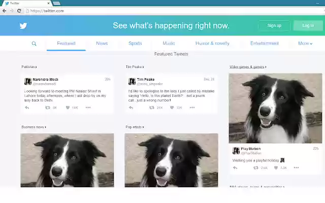 Border Collies! from Chrome web store to be run with OffiDocs Chromium online Border Collies! from Chrome web store to be run with OffiDocs Chromium online