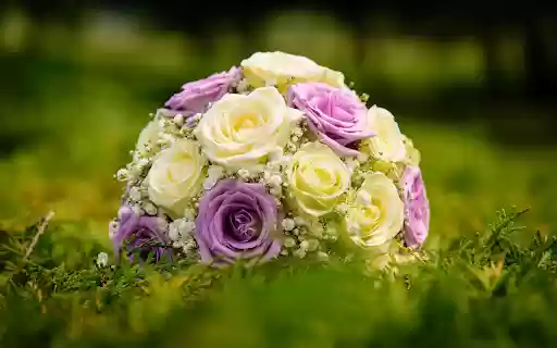 Bouquet of flowers on the lawn from Chrome web store to be run with OffiDocs Chromium online Bouquet of flowers on the lawn from Chrome web store to be run with OffiDocs Chromium online