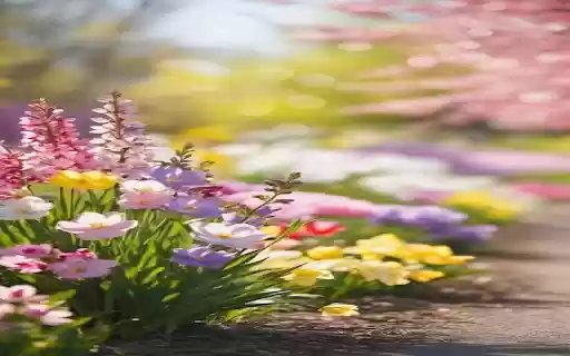 Bright flower garden wallpaper from Chrome web store to be run with OffiDocs Chromium online Bright flower garden wallpaper from Chrome web store to be run with OffiDocs Chromium online