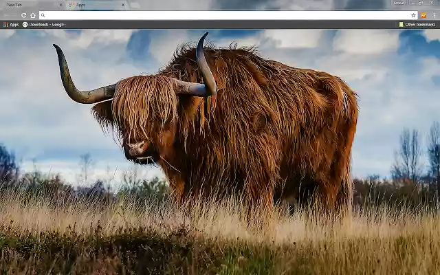 Bull from Chrome web store to be run with OffiDocs Chromium online Bull from Chrome web store to be run with OffiDocs Chromium online