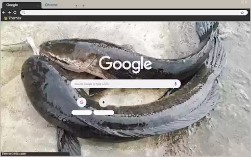 Ca loc from Chrome web store to be run with OffiDocs Chromium online Ca loc from Chrome web store to be run with OffiDocs Chromium online