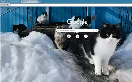 Cats frolicking in the snow from Chrome web store to be run with OffiDocs Chromium online Cats frolicking in the snow from Chrome web store to be run with OffiDocs Chromium online
