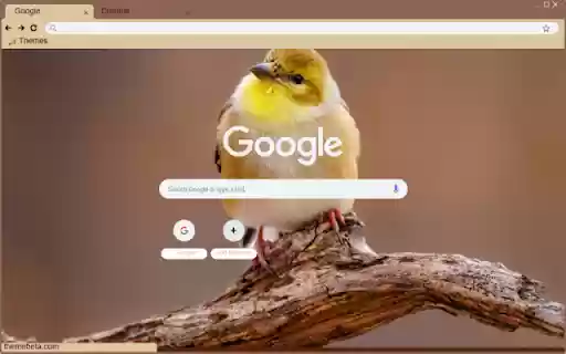 Chim Se Vang from Chrome web store to be run with OffiDocs Chromium online Chim Se Vang from Chrome web store to be run with OffiDocs Chromium online
