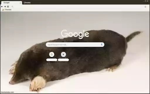 Chuot chui from Chrome web store to be run with OffiDocs Chromium online Chuot chui from Chrome web store to be run with OffiDocs Chromium online
