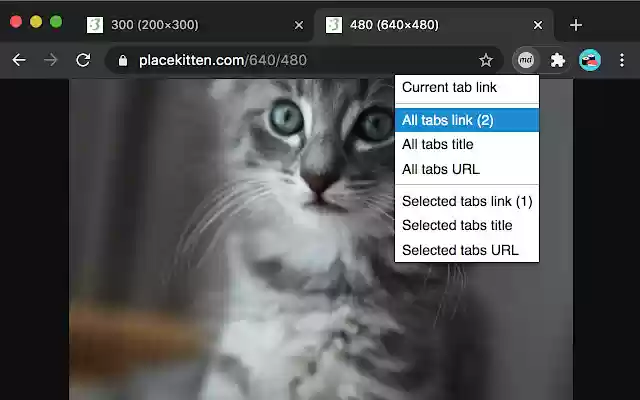 Copy as Markdown from Chrome web store to be run with OffiDocs Chromium online Copy as Markdown from Chrome web store to be run with OffiDocs Chromium online