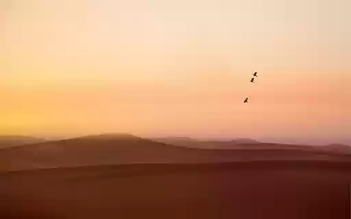 Desert bird from Chrome web store to be run with OffiDocs Chromium online Desert bird from Chrome web store to be run with OffiDocs Chromium online