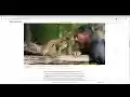 Disable Scrolling from Chrome web store to be run with OffiDocs Chromium online Disable Scrolling from Chrome web store to be run with OffiDocs Chromium online