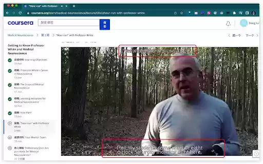 Duplex Subtitles from Chrome web store to be run with OffiDocs Chromium online Duplex Subtitles from Chrome web store to be run with OffiDocs Chromium online