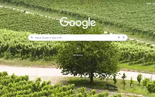 Emerald Vineyard Serenity from Chrome web store to be run with OffiDocs Chromium online Emerald Vineyard Serenity from Chrome web store to be run with OffiDocs Chromium online
