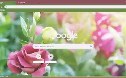 Eustoma from Chrome web store to be run with OffiDocs Chromium online Eustoma from Chrome web store to be run with OffiDocs Chromium online