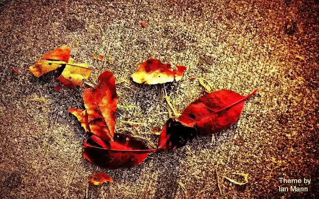 Fall Theme from Chrome web store to be run with OffiDocs Chromium online Fall Theme from Chrome web store to be run with OffiDocs Chromium online
