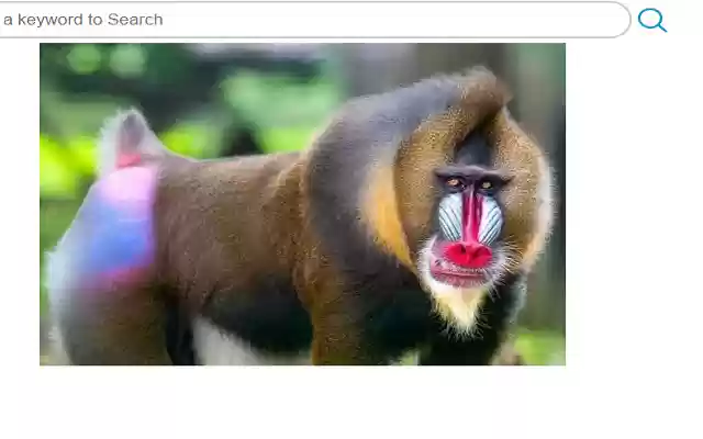 FavTabs Best Monkeys Mandrills from Chrome web store to be run with OffiDocs Chromium online FavTabs Best Monkeys Mandrills from Chrome web store to be run with OffiDocs Chromium online