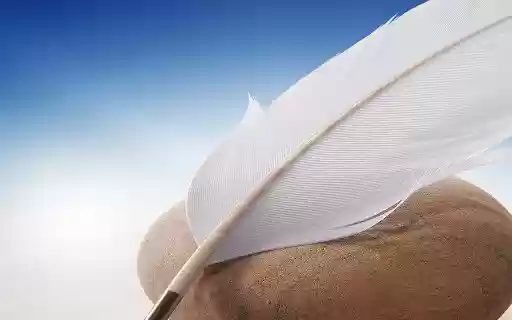 Feather By RB Themes from Chrome web store to be run with OffiDocs Chromium online Feather By RB Themes from Chrome web store to be run with OffiDocs Chromium online