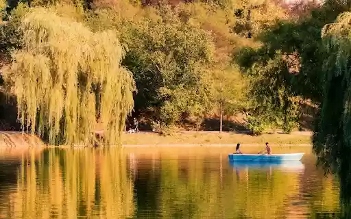 Golden Lake Serenity from Chrome web store to be run with OffiDocs Chromium online Golden Lake Serenity from Chrome web store to be run with OffiDocs Chromium online