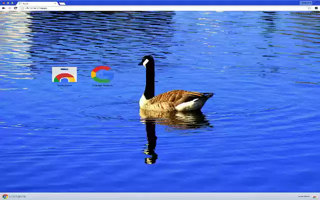 GOOSE THEME from Chrome web store to be run with OffiDocs Chromium online GOOSE THEME from Chrome web store to be run with OffiDocs Chromium online
