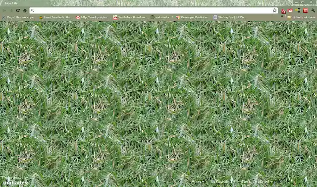 Grassy from Chrome web store to be run with OffiDocs Chromium online Grassy from Chrome web store to be run with OffiDocs Chromium online