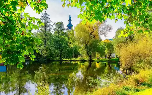 Green trees around the lake from Chrome web store to be run with OffiDocs Chromium online Green trees around the lake from Chrome web store to be run with OffiDocs Chromium online