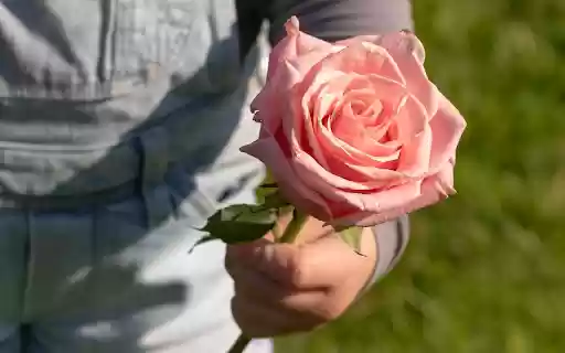 Holding the flower from Chrome web store to be run with OffiDocs Chromium online Holding the flower from Chrome web store to be run with OffiDocs Chromium online