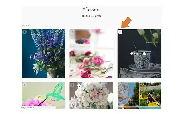 Image Downloader for IW from Chrome web store to be run with OffiDocs Chromium online Image Downloader for IW from Chrome web store to be run with OffiDocs Chromium online