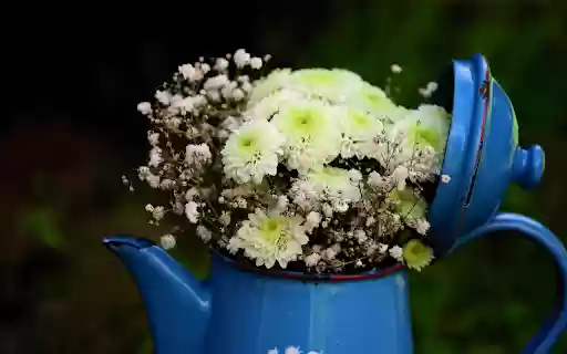 Kettle and flowers from Chrome web store to be run with OffiDocs Chromium online Kettle and flowers from Chrome web store to be run with OffiDocs Chromium online