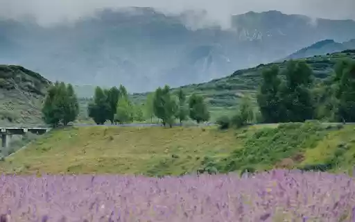 Lavender Hills and Misty Peaks from Chrome web store to be run with OffiDocs Chromium online Lavender Hills and Misty Peaks from Chrome web store to be run with OffiDocs Chromium online