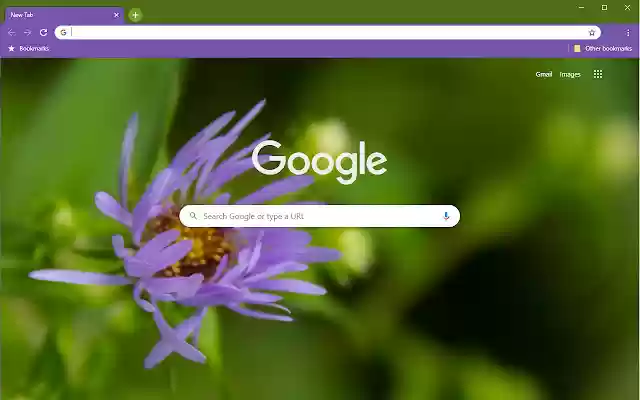 Lone Purple Flower from Chrome web store to be run with OffiDocs Chromium online Lone Purple Flower from Chrome web store to be run with OffiDocs Chromium online